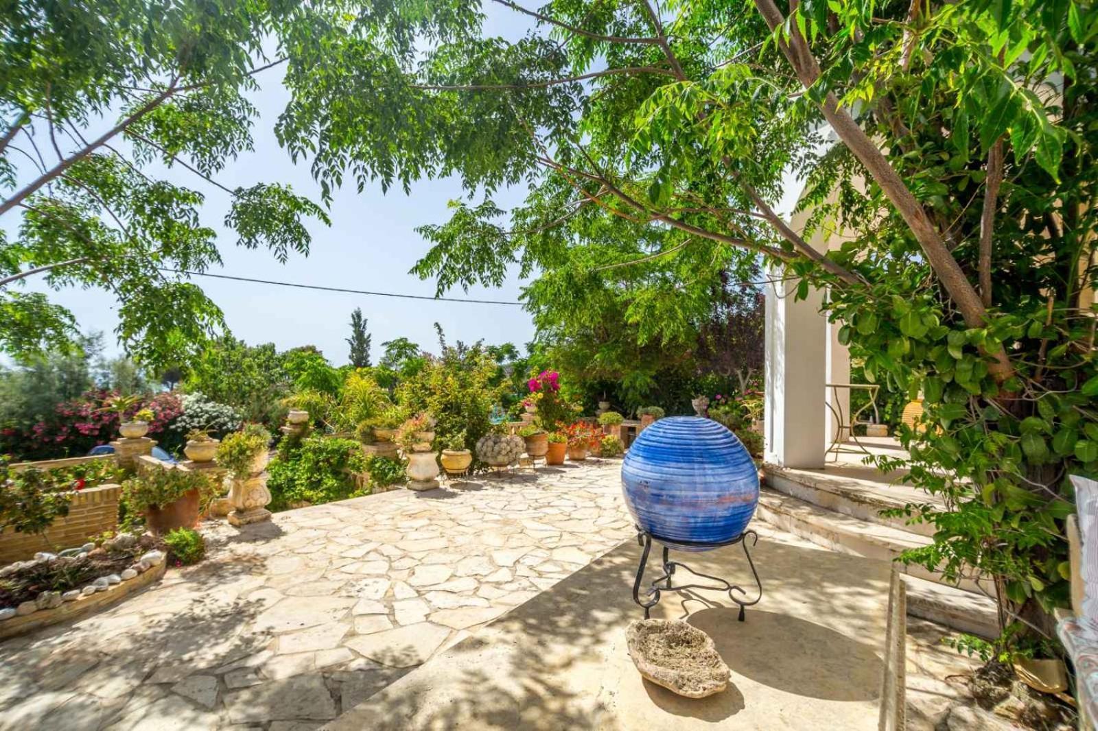 Blue Horizon Studios Ανω Βασιλικος Εξωτερικό φωτογραφία